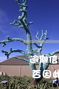 逾期信用卡：還款后多久恢復征信？會否因此坐牢？